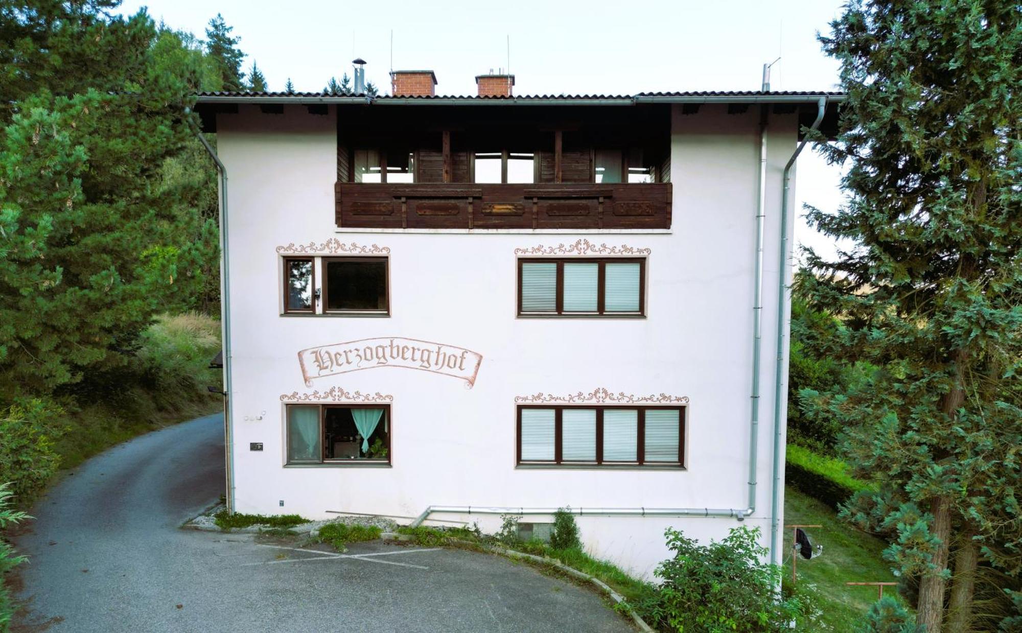 Herzogberghof Kindberg Eksteriør billede